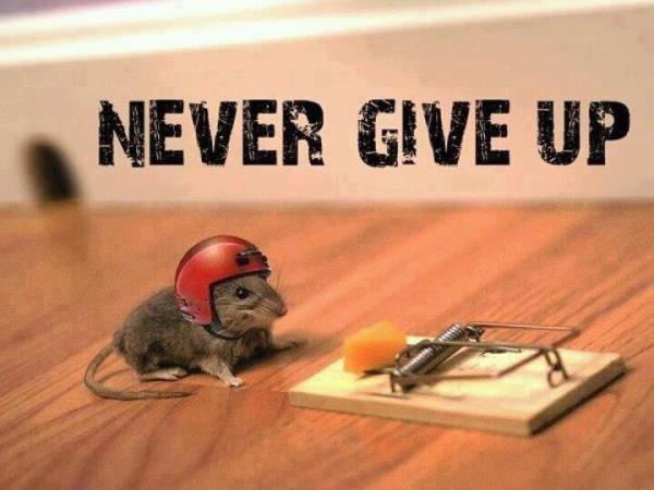 Never Give Up DP Images صور رمزيات حالات خلفيات عرض واتس اب انستقرام فيس بوك - رمزياتي